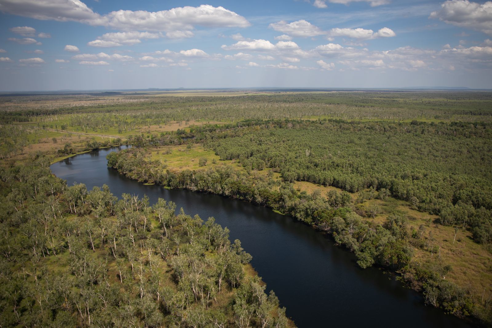 Aerial view of a river winding through native bushland